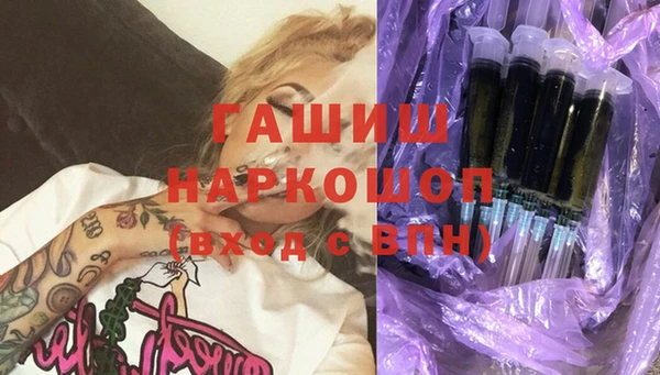 дживик Краснослободск