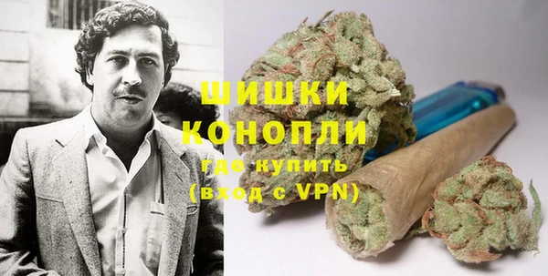 дживик Краснослободск