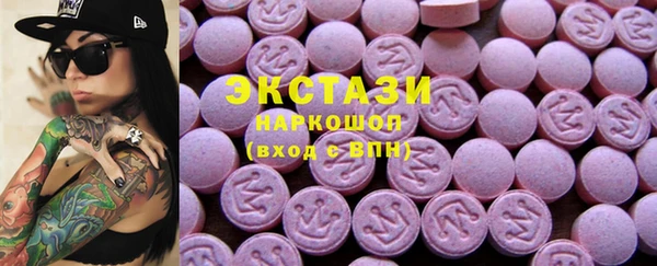 дживик Краснослободск