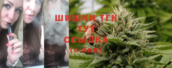 ECSTASY Кулебаки