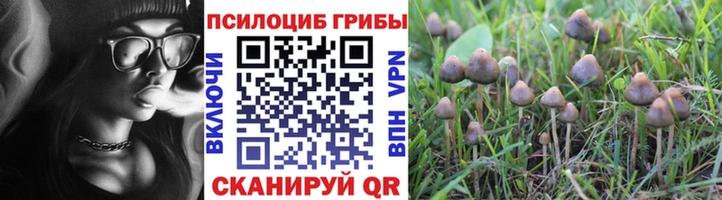 ссылка на мегу онион  Михайловка  Псилоцибиновые грибы Magic Shrooms 