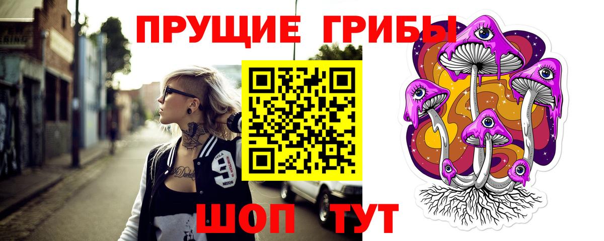 Михайловка  Псилоцибиновые грибы MAGIC MUSHROOMS  Вход с VPN 