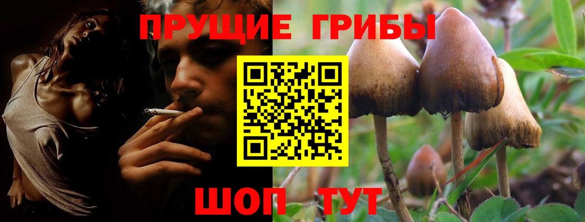 Галлюциногенные грибы мухоморы Михайловка