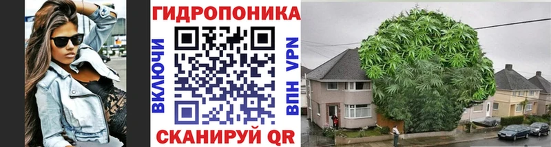 купить   Михайловка  Марихуана семена 